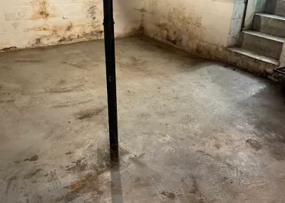 Affordable House Clean Out